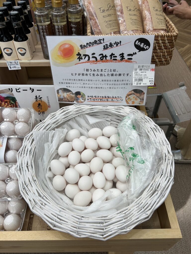 新寿卵の「初うみたまご」販売開始！ | 八重瀬町観光物産協会